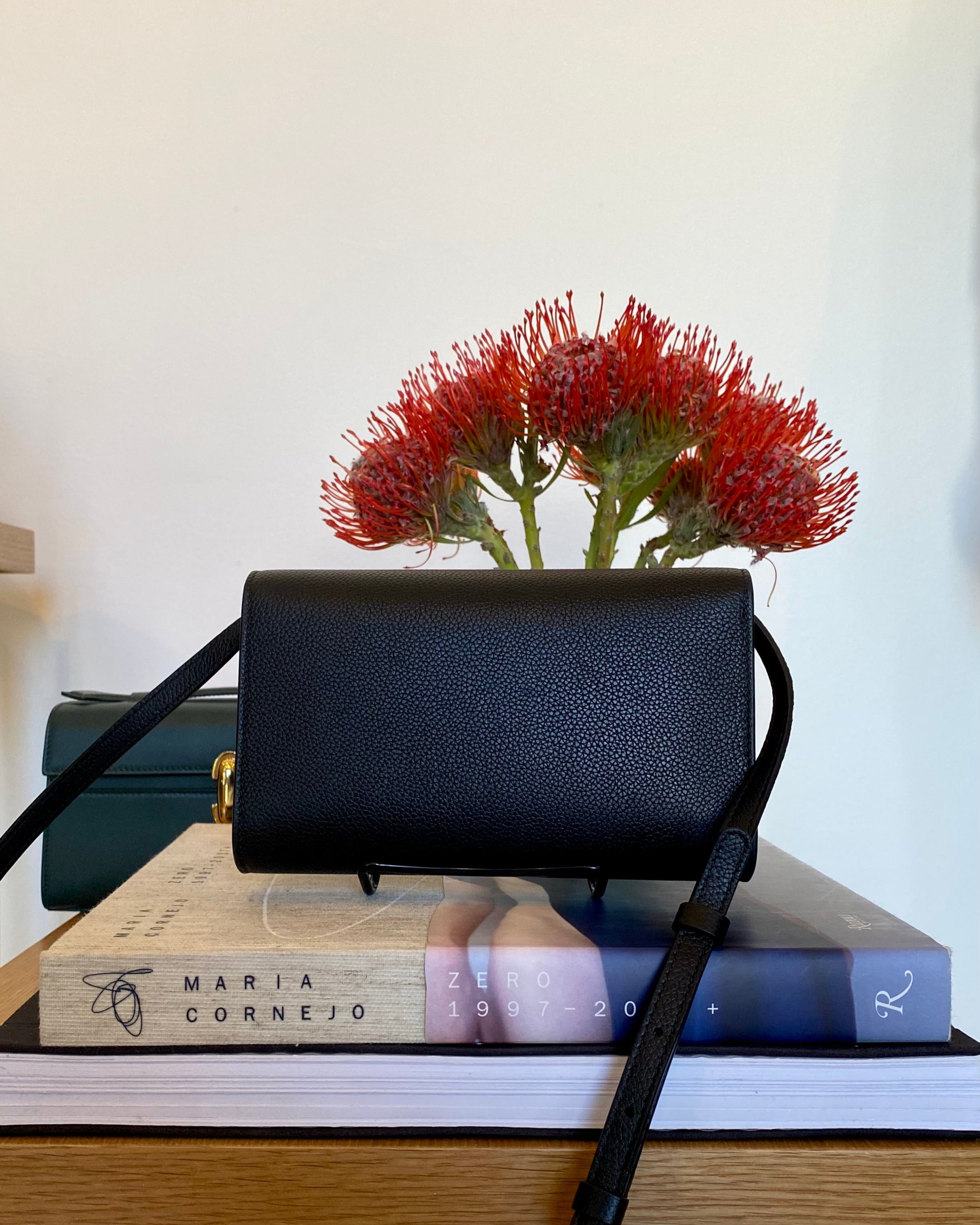 SAVETTE | GRAINED LEATHER SYMMETRY MINI BAG