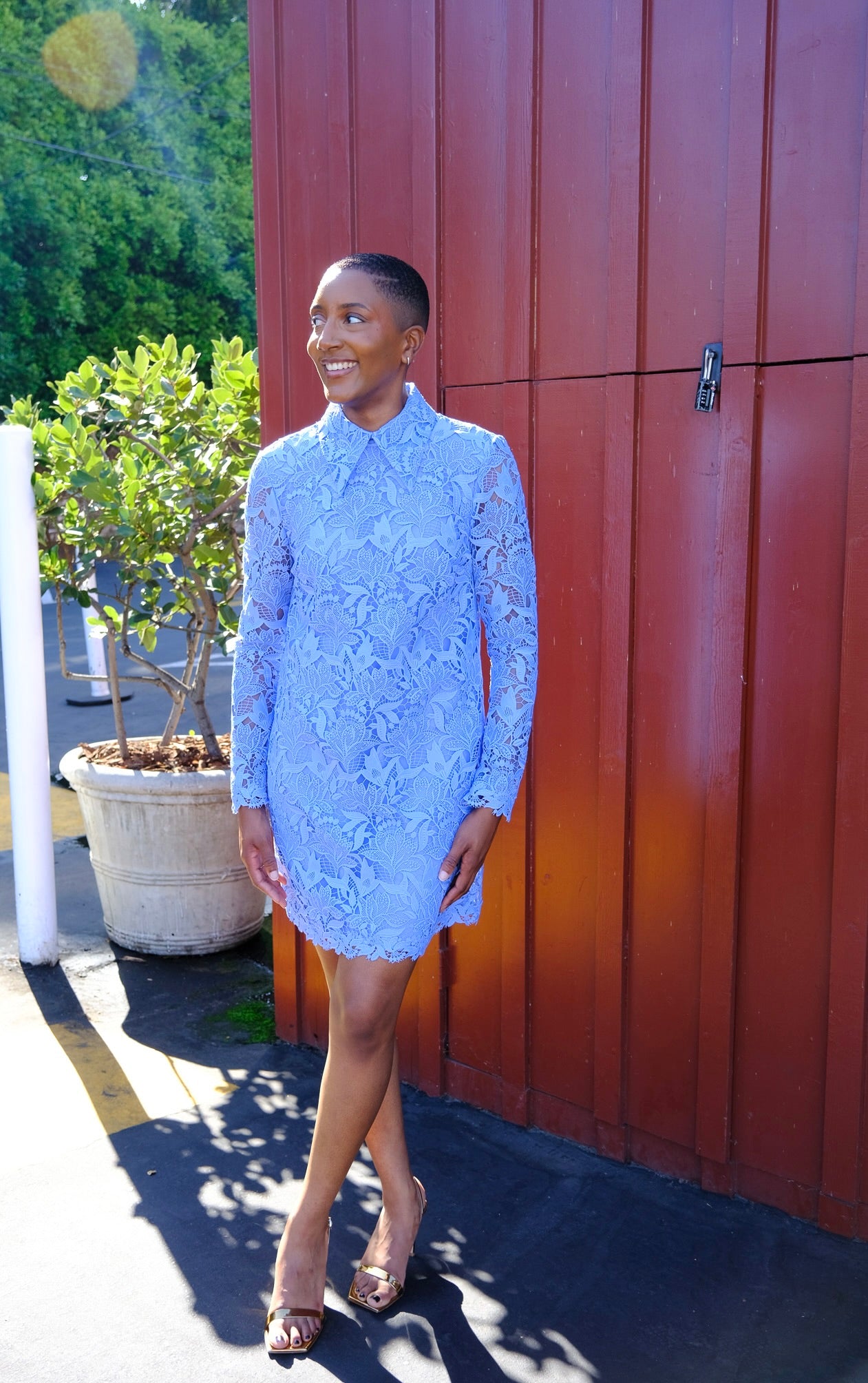 CAROLINA HERRERA | LACE COLLARED SHIFT DRESS