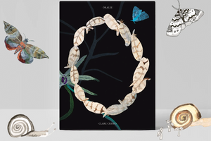 Clare Crespo Book Signing
