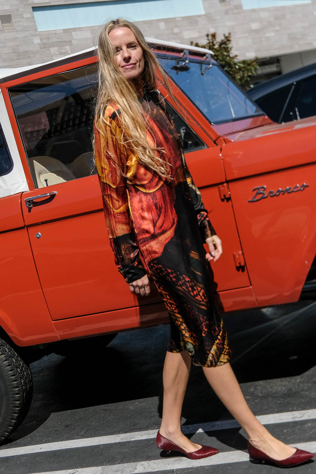 DRIES VAN NOTEN | TNECK SE PRINTED DONTISY MIDI DRESS