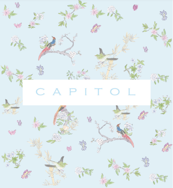 CAPITOL E-GIFT CARD