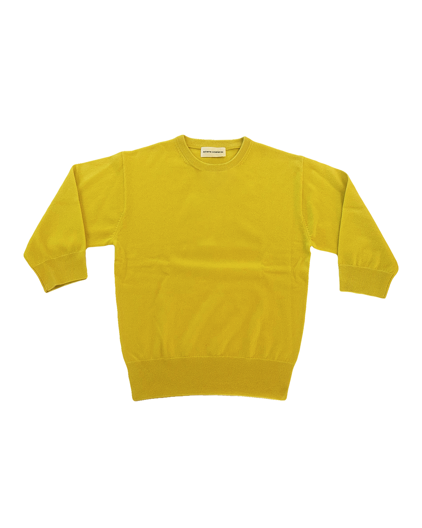 EXTREME CASHMERE | LONG SLEEVE JEWEL CREWNECK KNIT