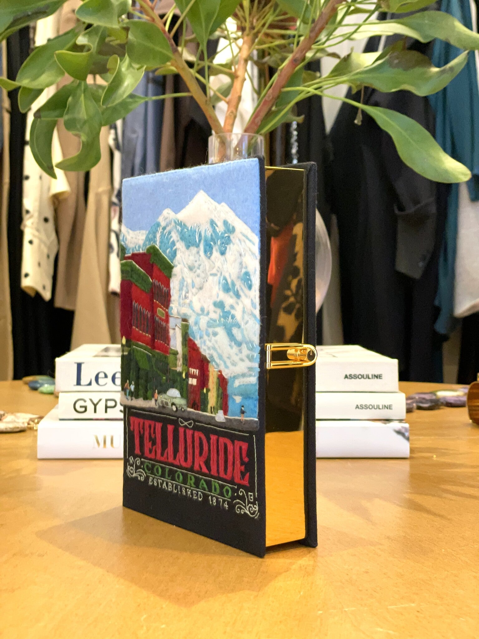 TELLURIDE BOOK CLUTCH